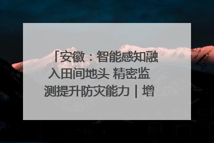 安徽：智能感知融入田间地头 精密监测提升防灾能力｜增发国债气象项目落地见效系列报道