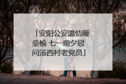 安阳公安温情暖桑榆 七一前夕慰问汤西村老党员