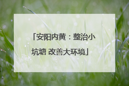 安阳内黄：整治小坑塘 改善大环境