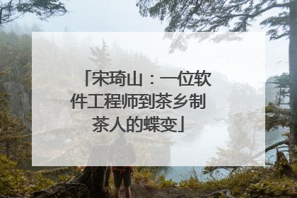 宋琦山：一位软件工程师到茶乡制茶人的蝶变