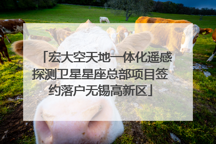 宏大空天地一体化遥感探测卫星星座总部项目签约落户无锡高新区
