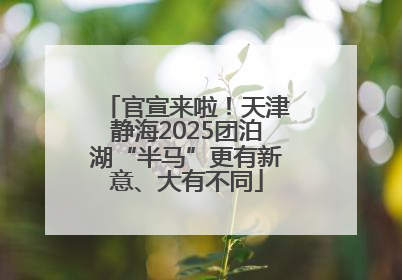 官宣来啦！天津静海2025团泊湖“半马”更有新意、大有不同