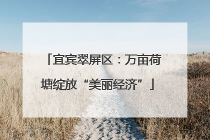 宜宾翠屏区：万亩荷塘绽放“美丽经济”