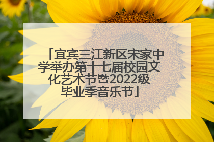 宜宾三江新区宋家中学举办第十七届校园文化艺术节暨2022级毕业季音乐节