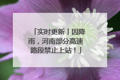 实时更新丨因降雨，河南部分高速路段禁止上站！