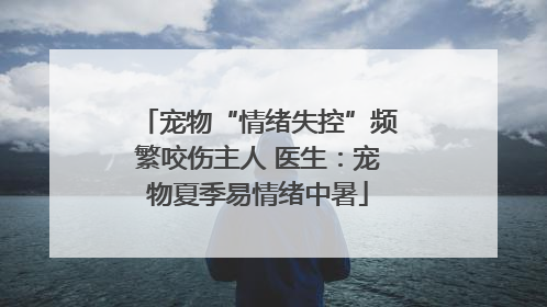 宠物“情绪失控”频繁咬伤主人 医生：宠物夏季易情绪中暑