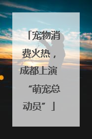 宠物消费火热，成都上演“萌宠总动员”