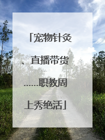 宠物针灸、直播带货……职教周上秀绝活