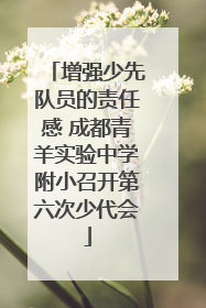 增强少先队员的责任感 成都青羊实验中学附小召开第六次少代会