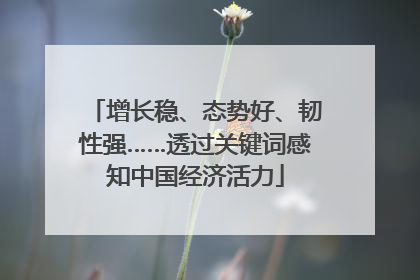 增长稳、态势好、韧性强……透过关键词感知中国经济活力
