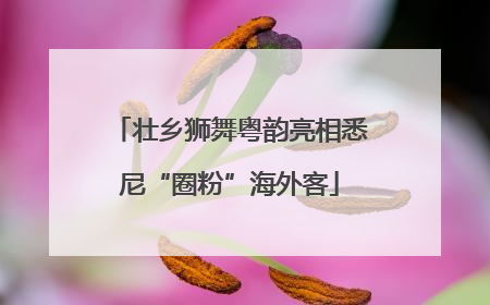 壮乡狮舞粤韵亮相悉尼“圈粉”海外客