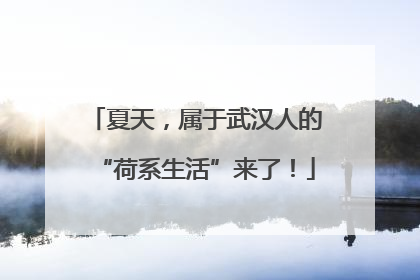 夏天，属于武汉人的“荷系生活”来了！