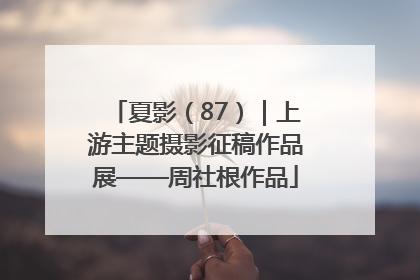 夏影（87）｜上游主题摄影征稿作品展——周社根作品