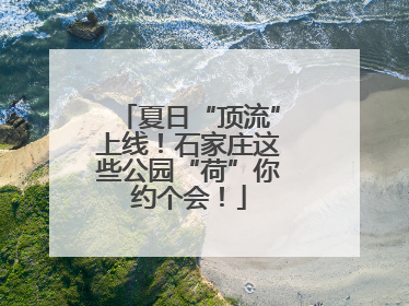 夏日“顶流”上线！石家庄这些公园“荷”你约个会！