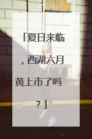夏日来临，西湖六月黄上市了吗？