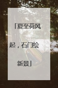 夏至荷风起，石门绘新景