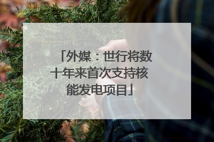外媒：世行将数十年来首次支持核能发电项目