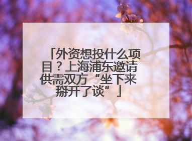 外资想投什么项目？上海浦东邀请供需双方“坐下来掰开了谈”