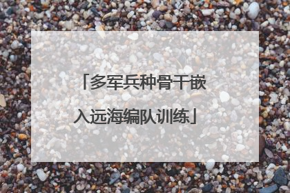 多军兵种骨干嵌入远海编队训练