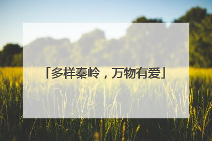 多样秦岭，万物有爱