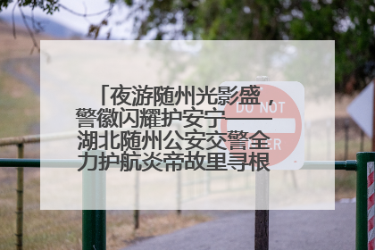 夜游随州光影盛，警徽闪耀护安宁——湖北随州公安交警全力护航炎帝故里寻根节夜游活动侧记