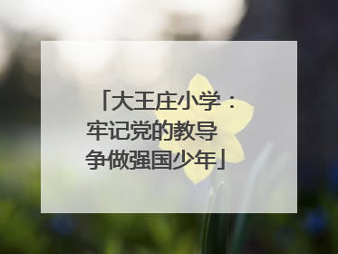 大王庄小学：牢记党的教导 争做强国少年