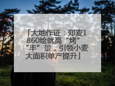 大地作证：郑麦1860绘就高“烤”“丰”景，引领小麦大面积单产提升