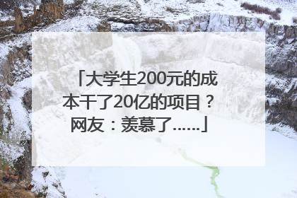 大学生200元的成本干了20亿的项目？网友：羡慕了……