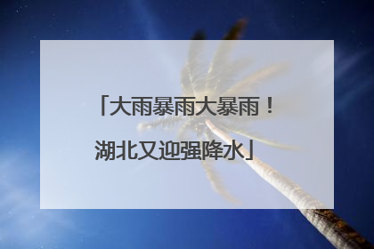 大雨暴雨大暴雨！湖北又迎强降水