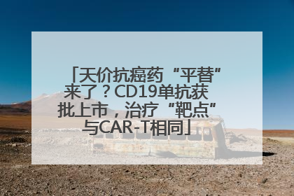 天价抗癌药“平替”来了？CD19单抗获批上市，治疗“靶点”与CAR-T相同