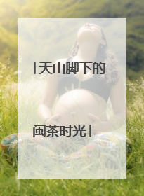 天山脚下的闽茶时光