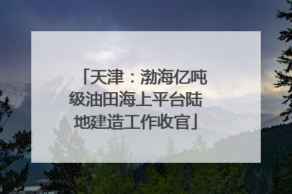 天津：渤海亿吨级油田海上平台陆地建造工作收官