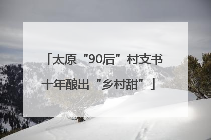 太原“90后”村支书十年酿出“乡村甜”