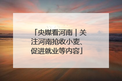 央媒看河南｜关注河南抢收小麦、促进就业等内容
