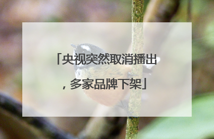 央视突然取消播出，多家品牌下架