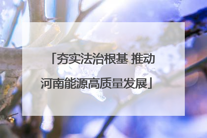 夯实法治根基 推动河南能源高质量发展