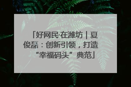 好网民·在潍坊｜夏俊磊：创新引领，打造“幸福码头”典范