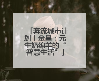奔流城市计划丨金昌：元生奶绵羊的“智慧生活”