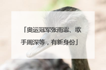 奥运冠军张雨霏、歌手周深等，有新身份