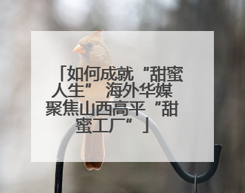 如何成就“甜蜜人生” 海外华媒聚焦山西高平“甜蜜工厂”