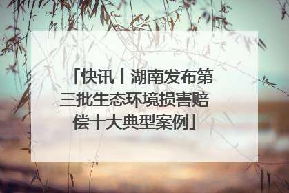 快讯丨湖南发布第三批生态环境损害赔偿十大典型案例