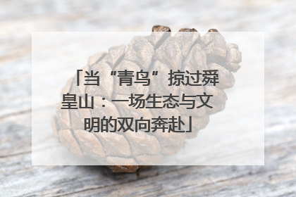 当“青鸟”掠过舜皇山：一场生态与文明的双向奔赴