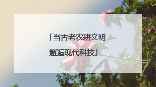 当古老农耕文明邂逅现代科技
