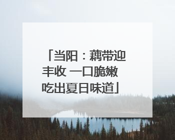 当阳：藕带迎丰收 一口脆嫩吃出夏日味道