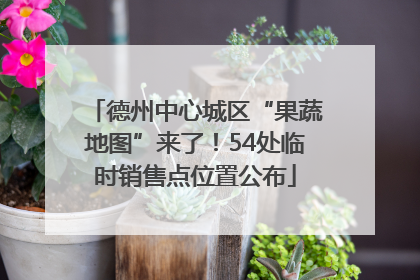 德州中心城区“果蔬地图”来了！54处临时销售点位置公布