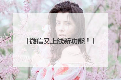 微信又上线新功能！