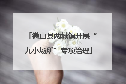 微山县两城镇开展“九小场所”专项治理