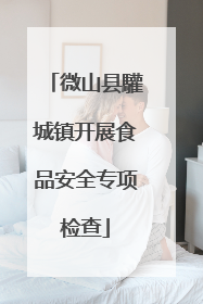 微山县驩城镇开展食品安全专项检查
