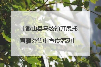 微山县马坡镇开展托育服务集中宣传活动