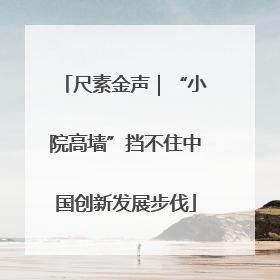 尺素金声｜“小院高墙”挡不住中国创新发展步伐